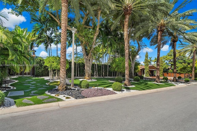 view of front of home with a front yard