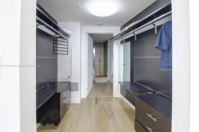 walk in closet featuring light wood-style floors