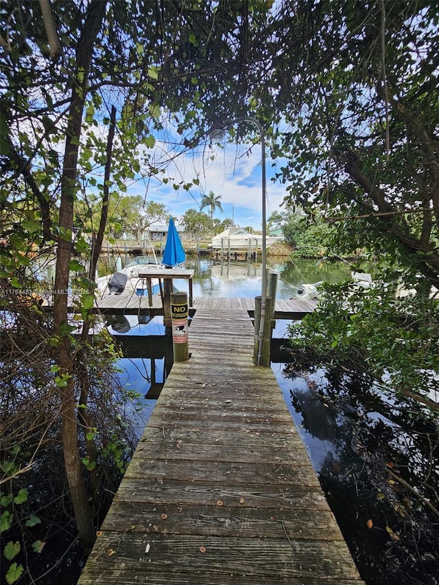 dock area featuring a water view