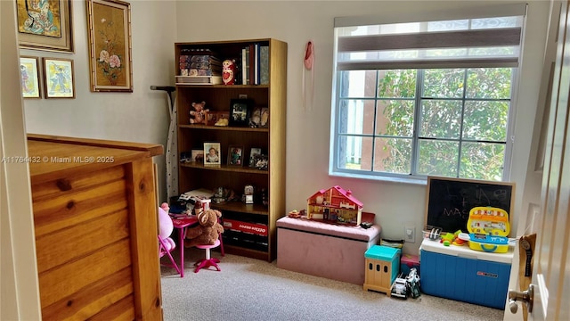 playroom featuring carpet flooring