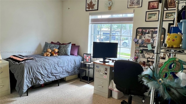 bedroom with carpet flooring