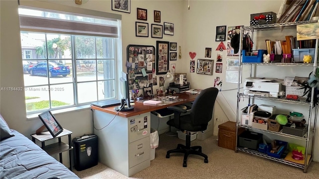 carpeted office space featuring a wealth of natural light