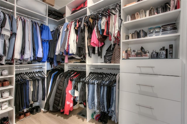 spacious closet featuring wood finished floors