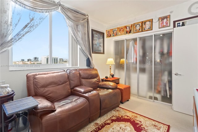 sitting room featuring carpet floors