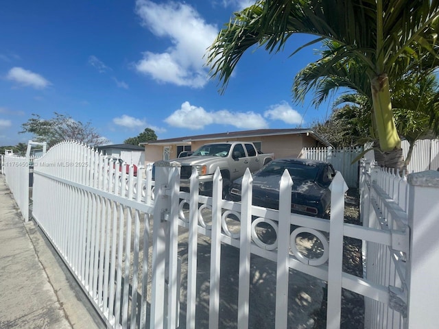 view of front of house with a gate and a fenced front yard