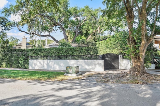 view of side of property with a fenced front yard and a gate