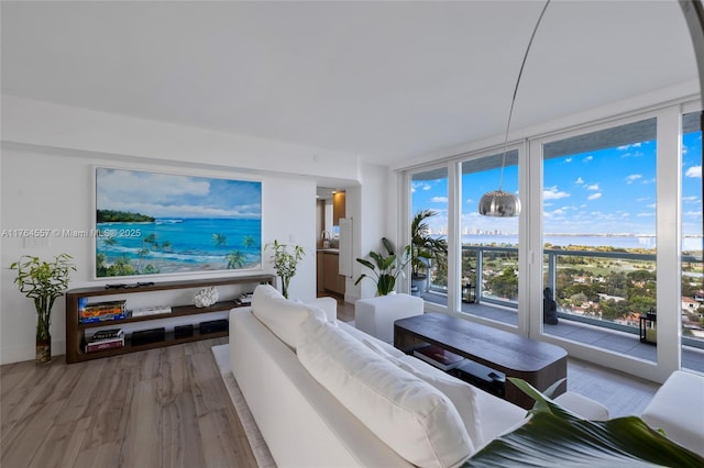 living area with a healthy amount of sunlight, wood finished floors, a water view, and expansive windows