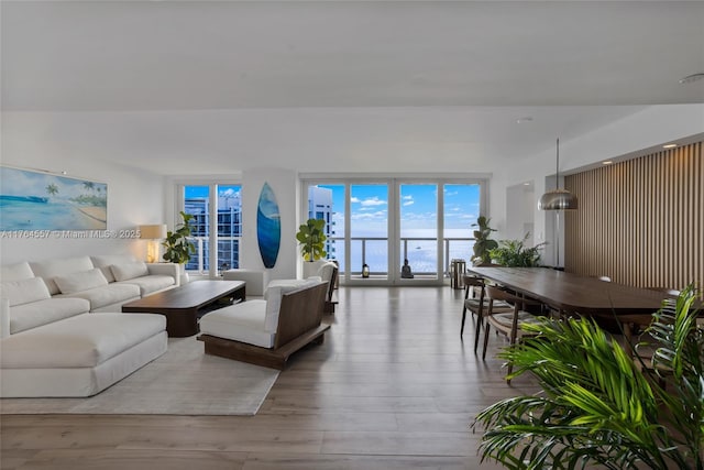 living room featuring wood finished floors