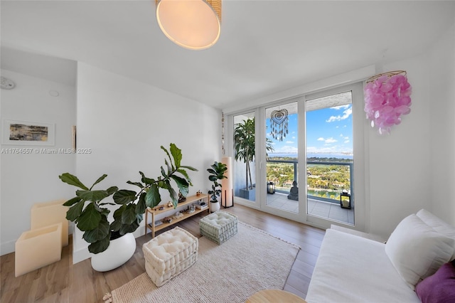 living room featuring a wall of windows and wood finished floors