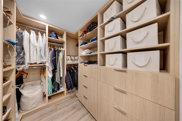 walk in closet with light wood-type flooring