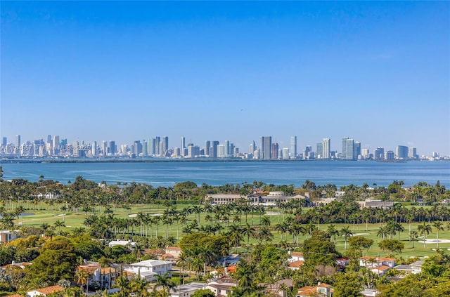 water view featuring a city view