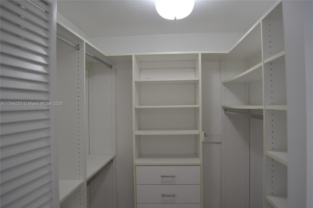 view of spacious closet