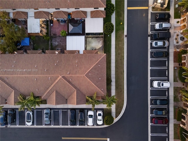 bird's eye view