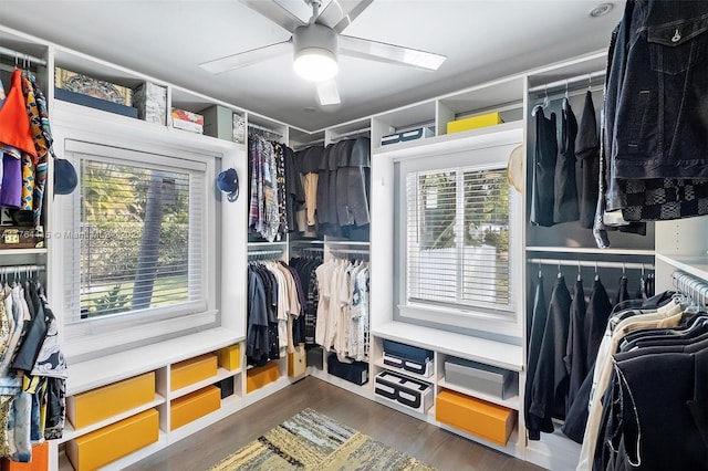 spacious closet featuring dark wood-style floors and a ceiling fan