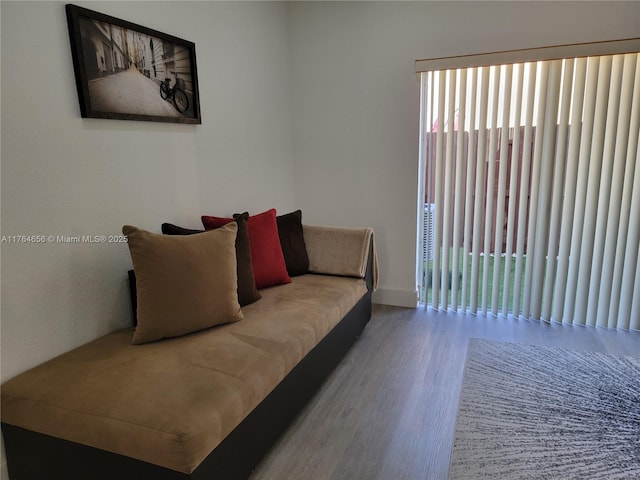 living room featuring wood finished floors