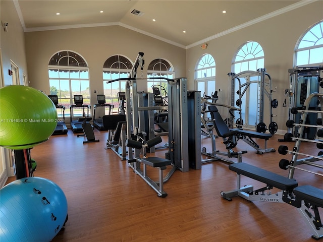 exercise room with plenty of natural light, high vaulted ceiling, wood finished floors, and crown molding