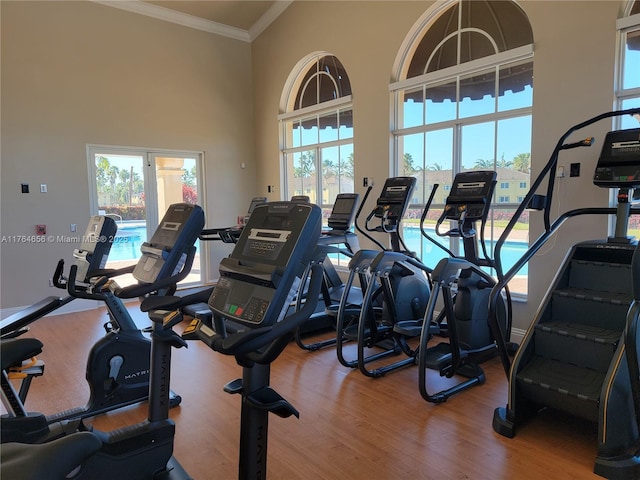 workout area featuring a high ceiling, wood finished floors, and ornamental molding