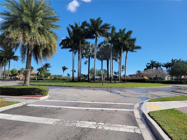 view of road with curbs