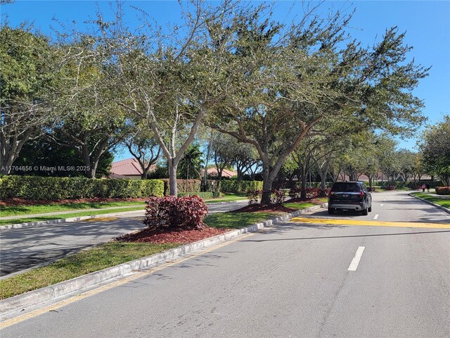 view of street featuring curbs and sidewalks