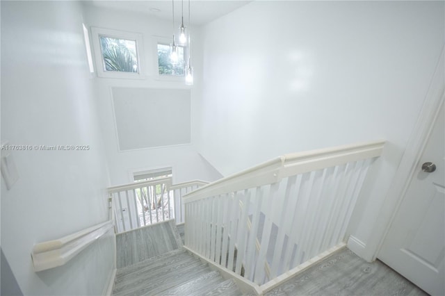 staircase featuring wood finished floors