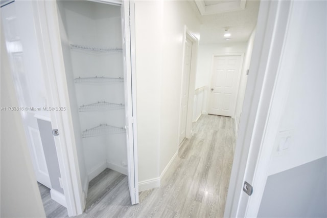 hallway with attic access, baseboards, and light wood-type flooring