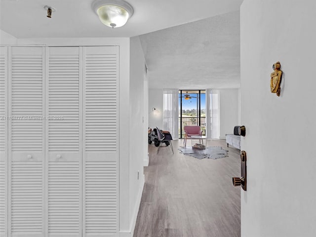 900 NE 195th St Unit 504, Miami, FL 33179 - corridor with a wall of windows, baseboards, and wood finished floors