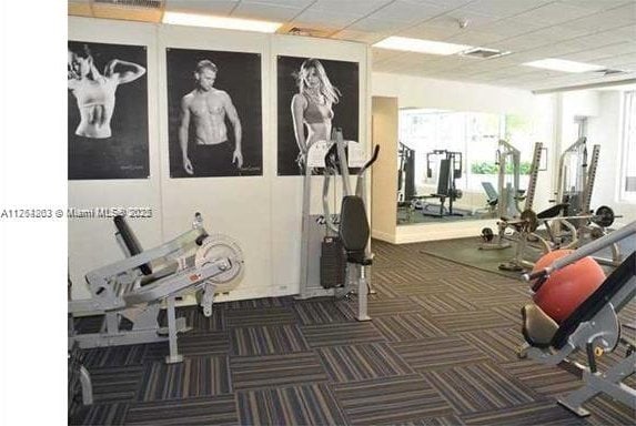 1750 N Bayshore Dr Unit 1606, Miami, FL 33132 - exercise room featuring carpet