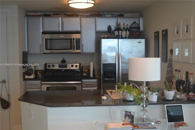 kitchen featuring stainless steel appliances