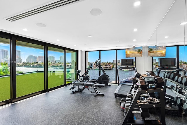 exercise room with a wealth of natural light, a view of city, and expansive windows