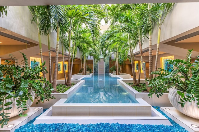 600 Grapetree Dr Unit 8Cs, Key Biscayne, FL 33149 - view of swimming pool