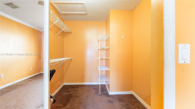 323 SW 190th Ter, Pembroke Pines, FL 33029 - walk in closet with carpet flooring