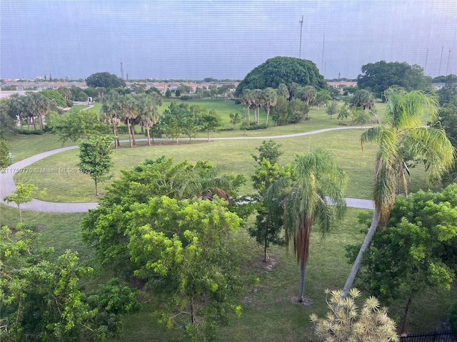 view of home's community with a yard