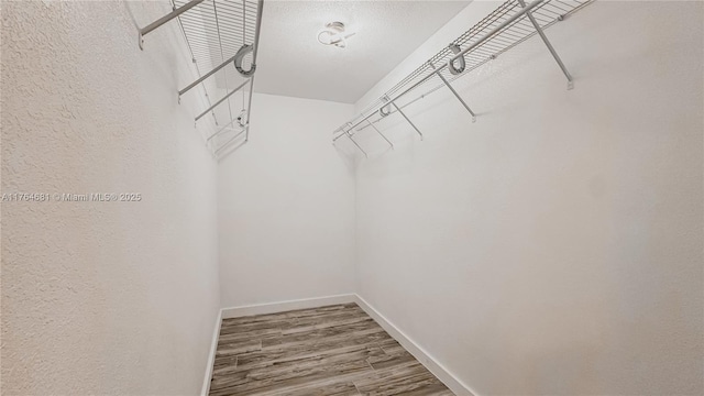 spacious closet with wood finished floors