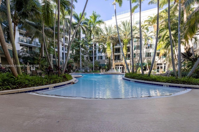 view of swimming pool