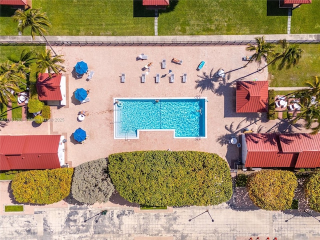2555 Collins Ave Unit 2104, Miami Beach, FL 33140 - bird's eye view of a pool area
