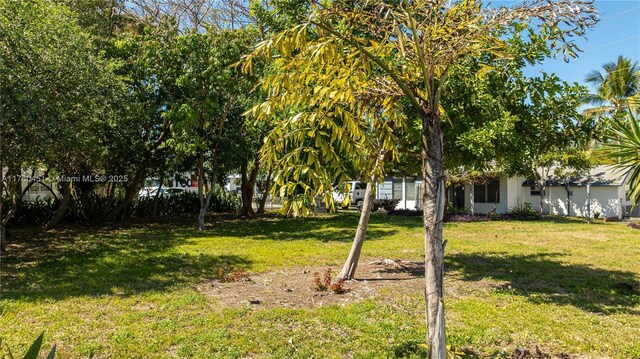 1309 N 24th Ave, Hollywood, FL 33020 - photo 13