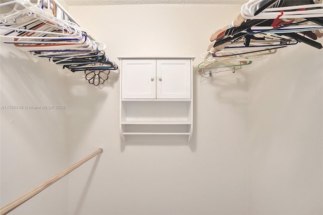 view of spacious closet