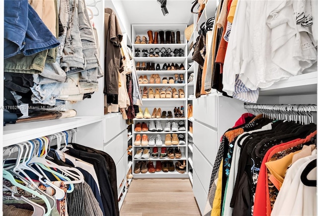 4000 NE 170th St Unit 300, North Miami Beach, FL 33160 - walk in closet featuring wood finished floors