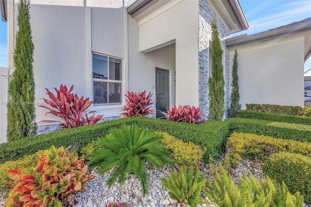 view of exterior entry with stucco siding
