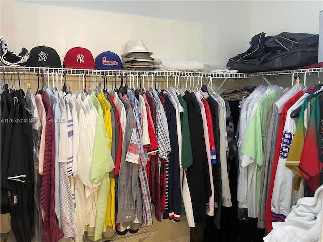view of spacious closet