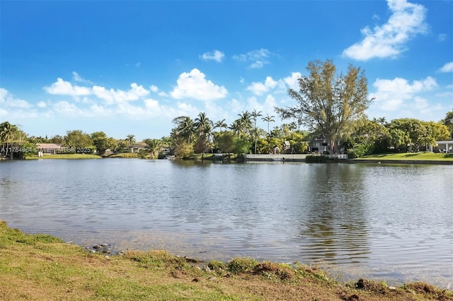 13575 SW 72nd Ave, Pinecrest, FL 33156 - water view