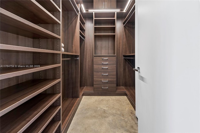 view of walk in closet