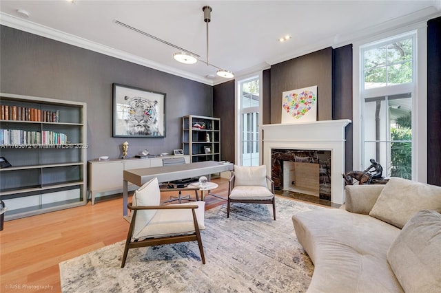 4550 Sunset Dr, Coral Gables, FL 33143 - home office with ornamental molding, light wood-style floors, and a large fireplace