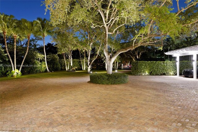 4550 Sunset Dr, Coral Gables, FL 33143 - view of yard
