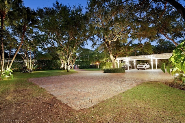 4550 Sunset Dr, Coral Gables, FL 33143 - view of grassy yard with decorative driveway