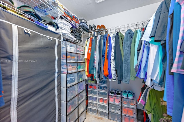 view of spacious closet