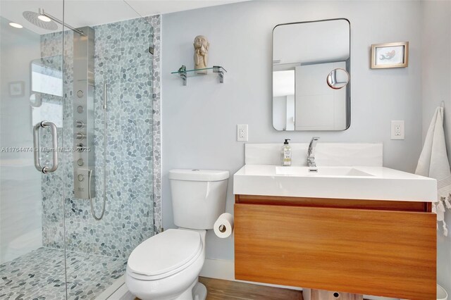 bathroom featuring vanity, toilet, and a shower stall