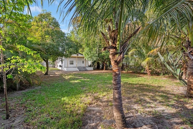 2911 NW 30th St, Miami, FL 33142 - view of yard