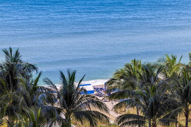 9705 Collins Ave Unit 1001N, Bal Harbour, FL 33154 - water view