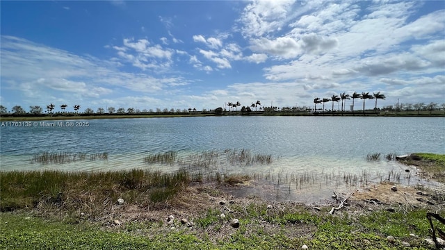 601 SE 37th Pl, Homestead, FL 33033 - photo 7